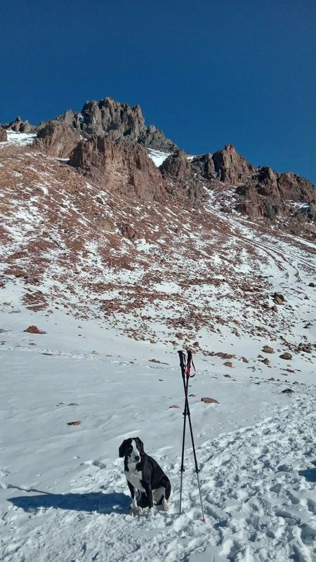 WhatsApp Image 2024-01-17 at 14.36.45 (2)