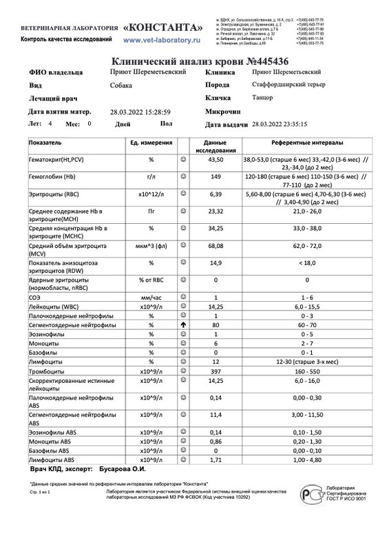 Клинический анализ крови (445436)