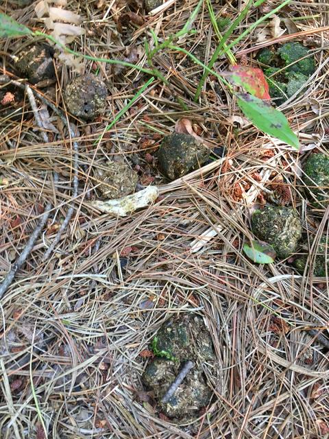 6916FD1C-C222-4289-B6B3-6FF354D66AEE