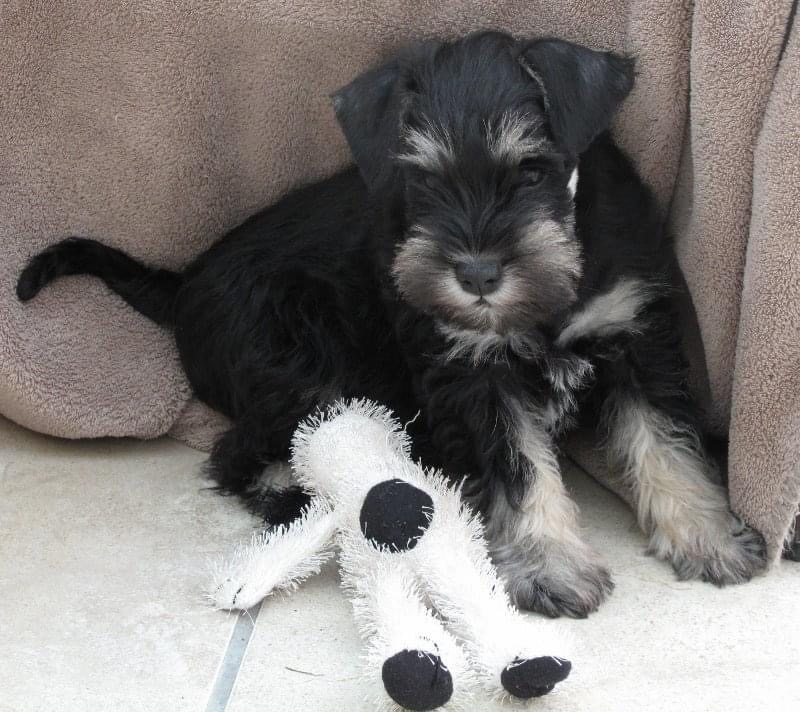 4034426C-8AE9-4E57-BAE8-F77F1363CAF4