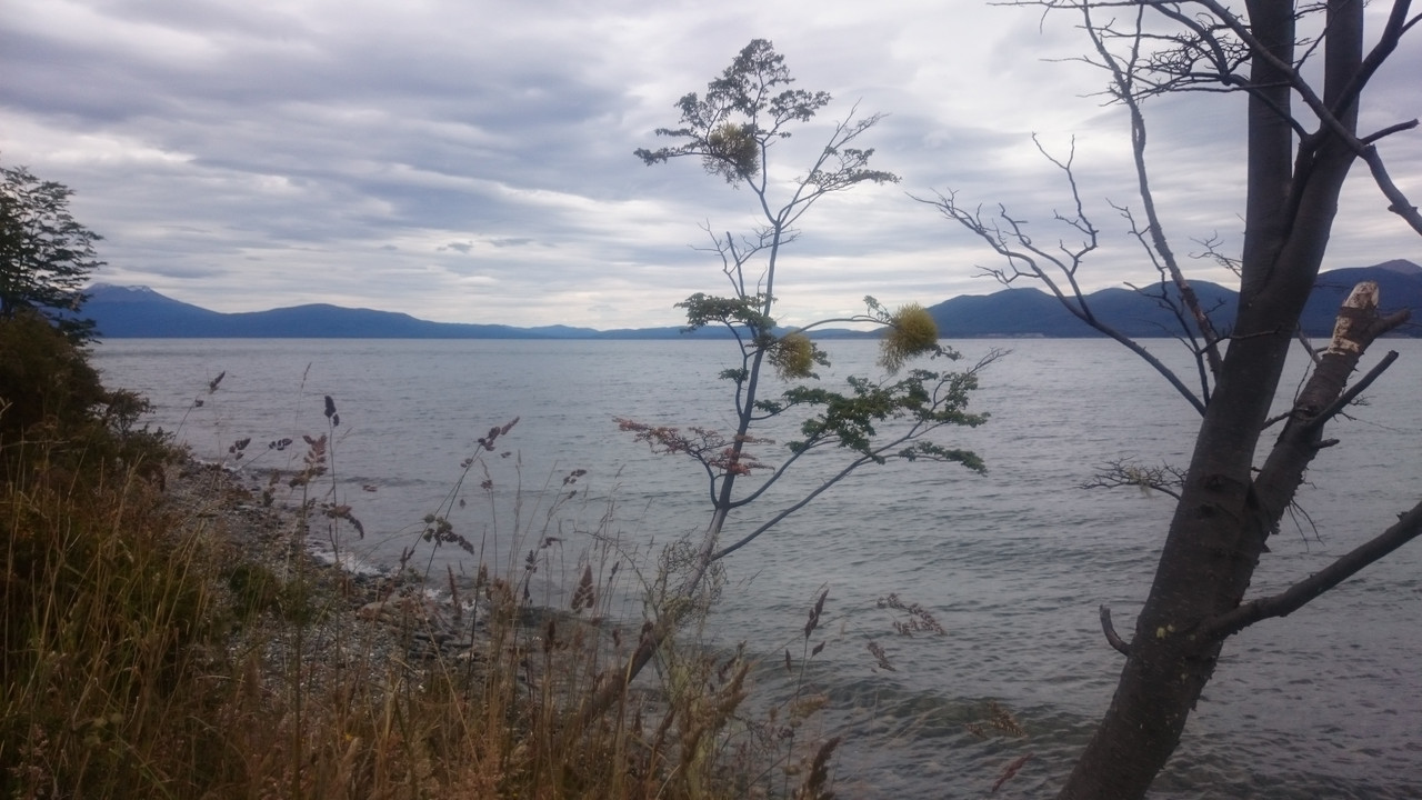 Аргентина (15)