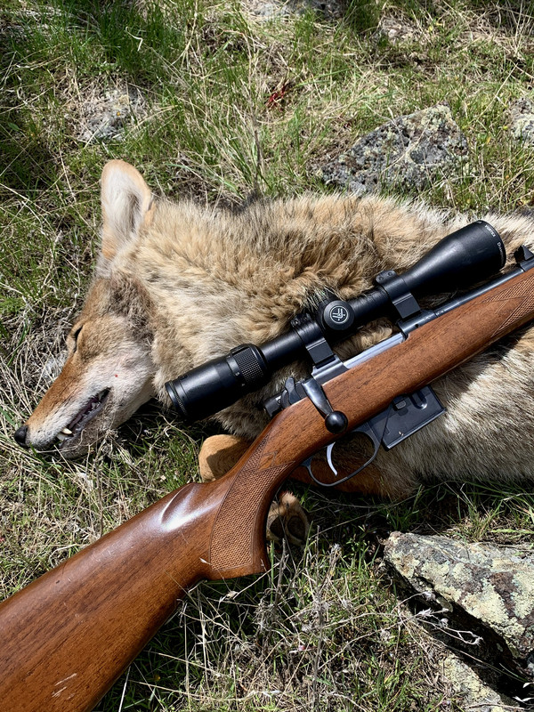 04739339-C327-48BC-AB58-012783FCCAA1