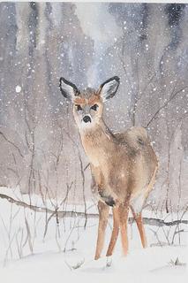 How to Paint a Winter White-tailed Deer  Larger Scale Watercolor Painting