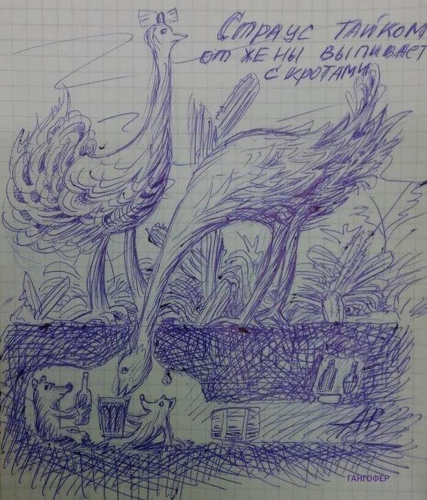 16002901_1244196575658103_4235961666359528575_n-