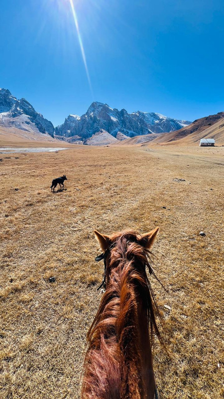 Kyrgyzstan summer landscape
