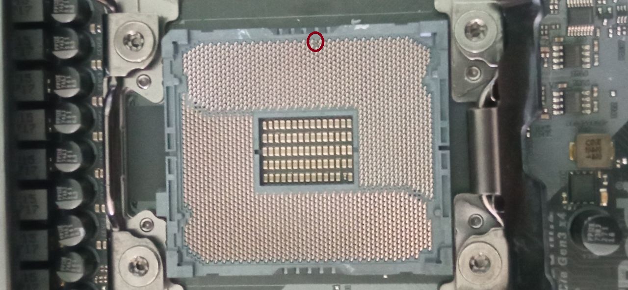 photo_2025-06-02_13-41-45 (2)