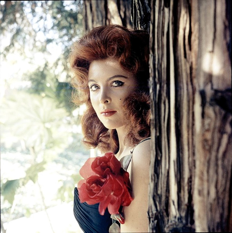 tina_louise_b42