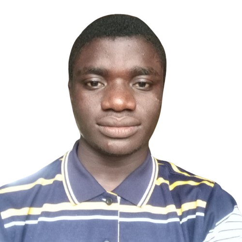 Developer Profile