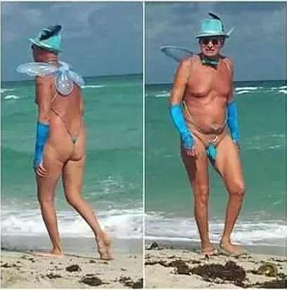 фея