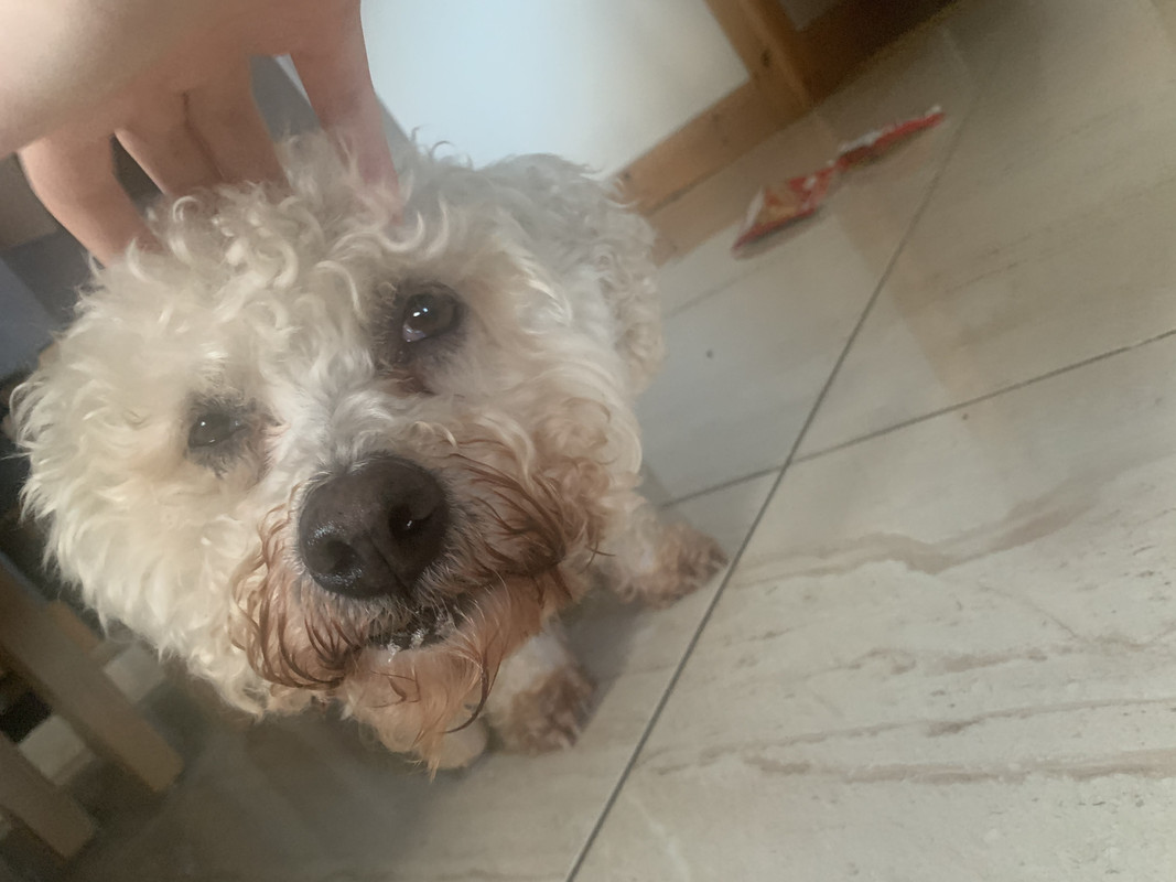 DEC1B6E8-A2D7-414A-AF72-38672CAFC31C