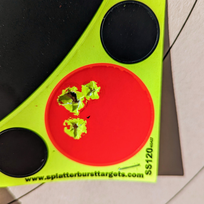 PXL_20231124_215349473~2