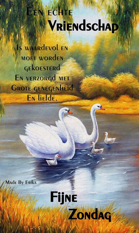 HTML leren
