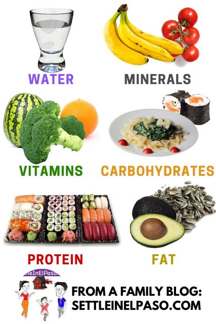 Classes Of Food The 6 Basic Groups Physical And Health Education 2023