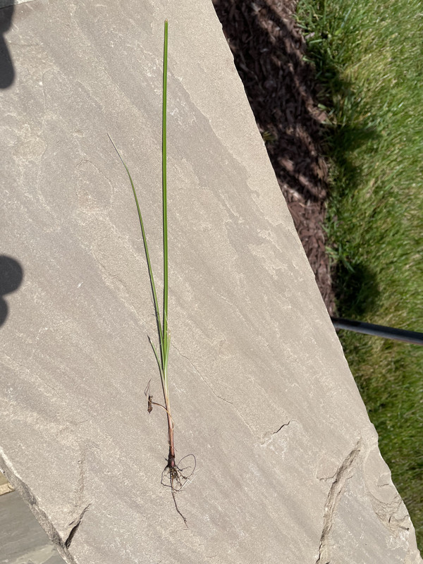 B47DBAF0-6E28-4BF2-AC2F-AF76D840CCCE