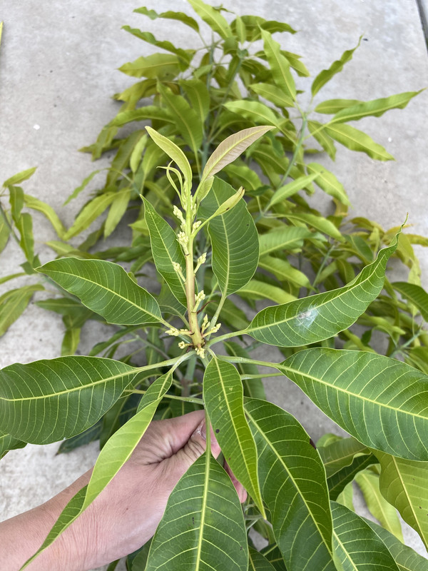 BF24B288-5118-4FE1-A1AB-78DDC10C438A