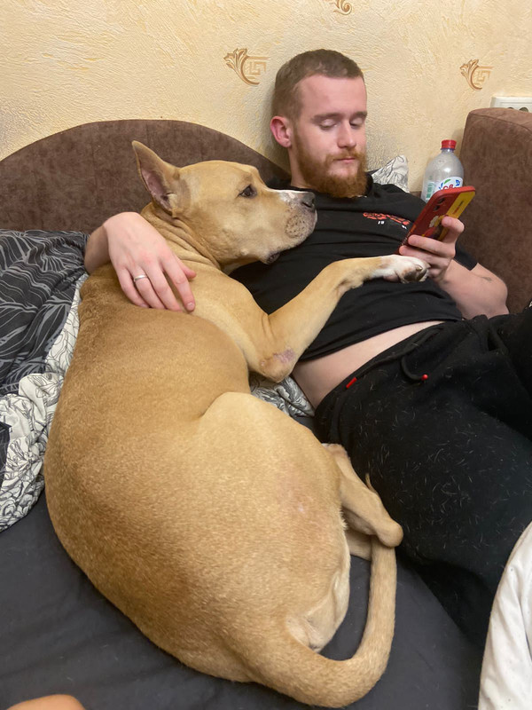 C99E6CF0-C9BA-4C63-BEF2-8933E9952579