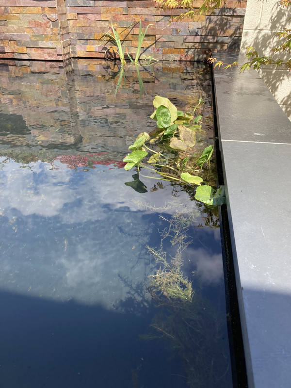 86932A77-5144-4FF7-ACD6-4F0F47540A82