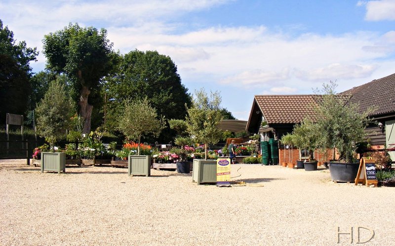 farm-shop-5.jpg