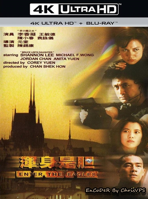 Orły w akcji / Enter the Eagles (1998) MULTI.HDR.2160p.BluRay.DTS.HD.MA.AC3-ChrisVPS / LEKTOR i NAPISY