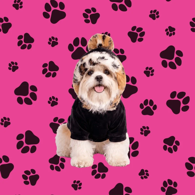 Pet 3 - Modelo vestido