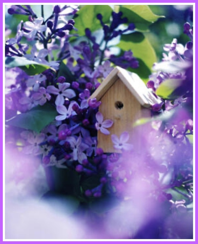 07441577-AF11-47B5-A6A6-E678AECF83DF