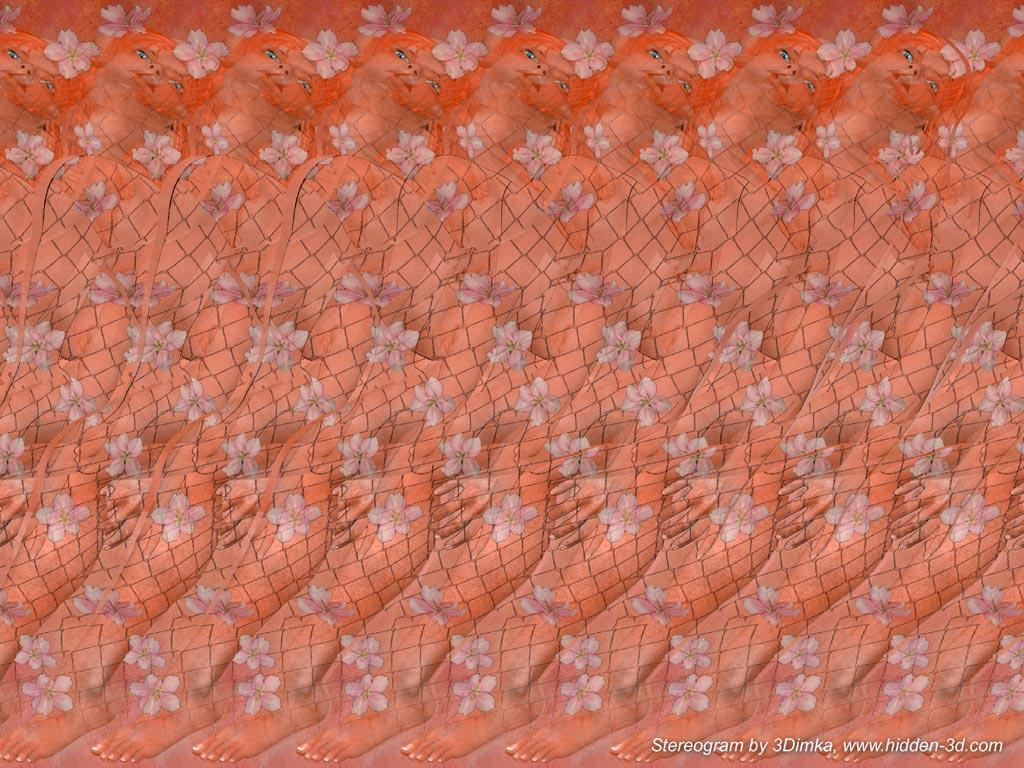 can you see the images in stereograms? | Page 2 | Freeones Forum - The Free  Sex Community