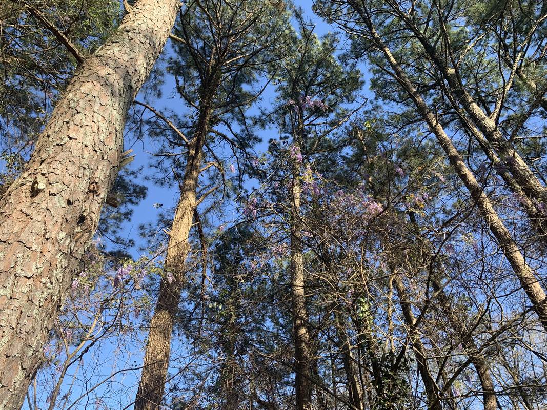 A3BCA826-E802-4311-933F-9C7BCE25B9EA