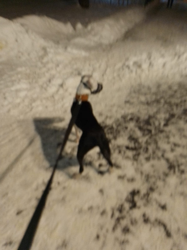 0B109817-7650-4ABD-A0E1-3C5AC516A394