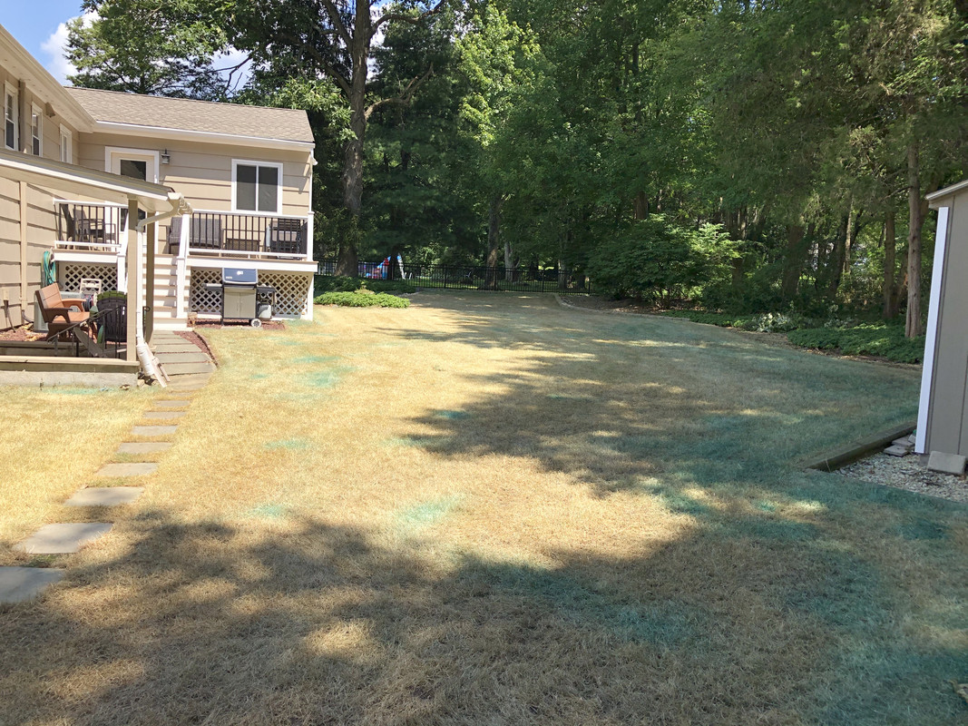 E114DE26-9046-4B76-9CBA-045BD397CC82