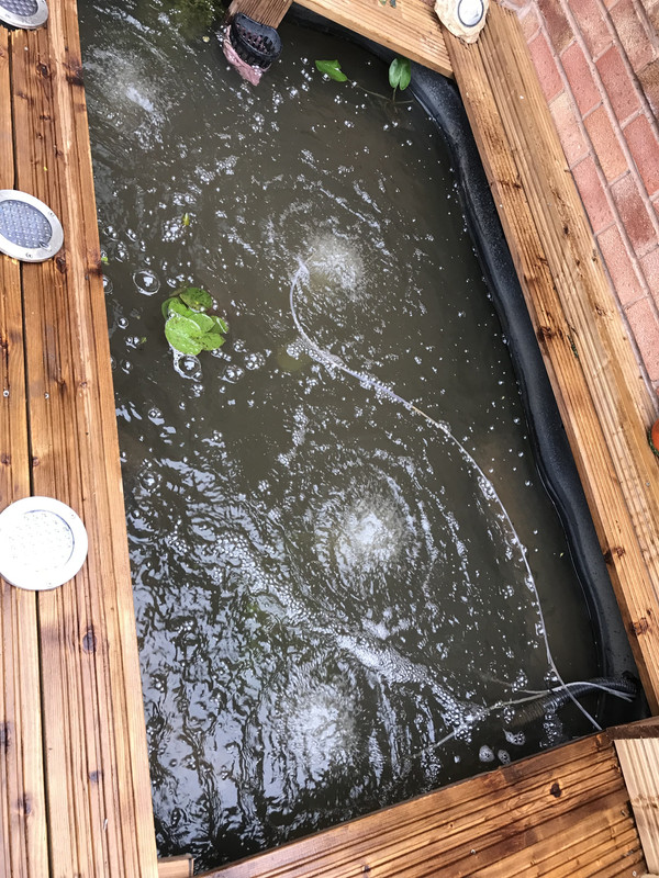 F1873432-AC31-437D-9E44-92551FA5688C