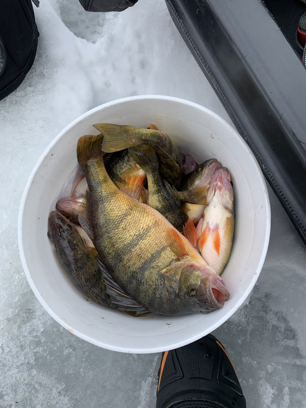 C6204EBA-9A0F-4CC6-AC6B-41FA8F7853DB