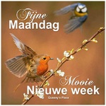 maandag.jpg