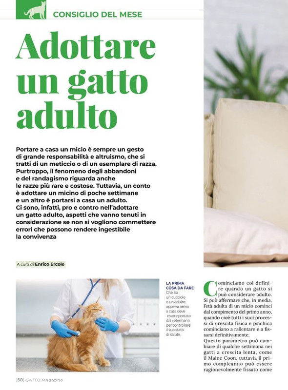 Ga Ma Ago-Set  2021 (11)