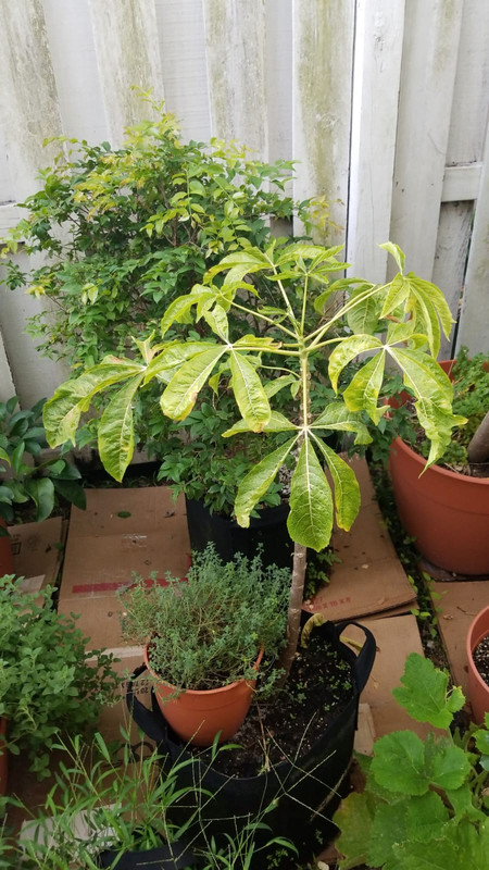 35B7DC20-CE16-4554-98EB-C77430E7052D