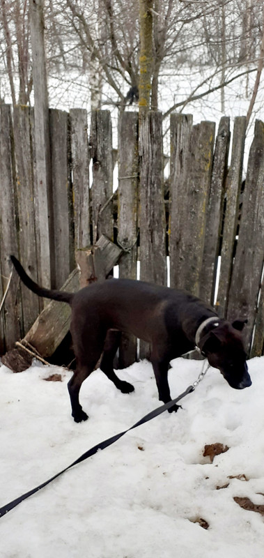 20240318_134009_(2)[1]