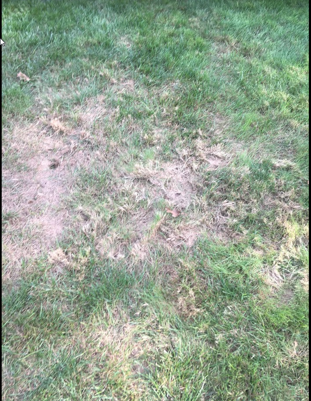 2020-09-08 18_31_46-Inbox - justin.watts@workday.com - Outlook