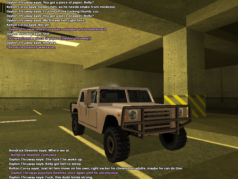 ss3.jpg