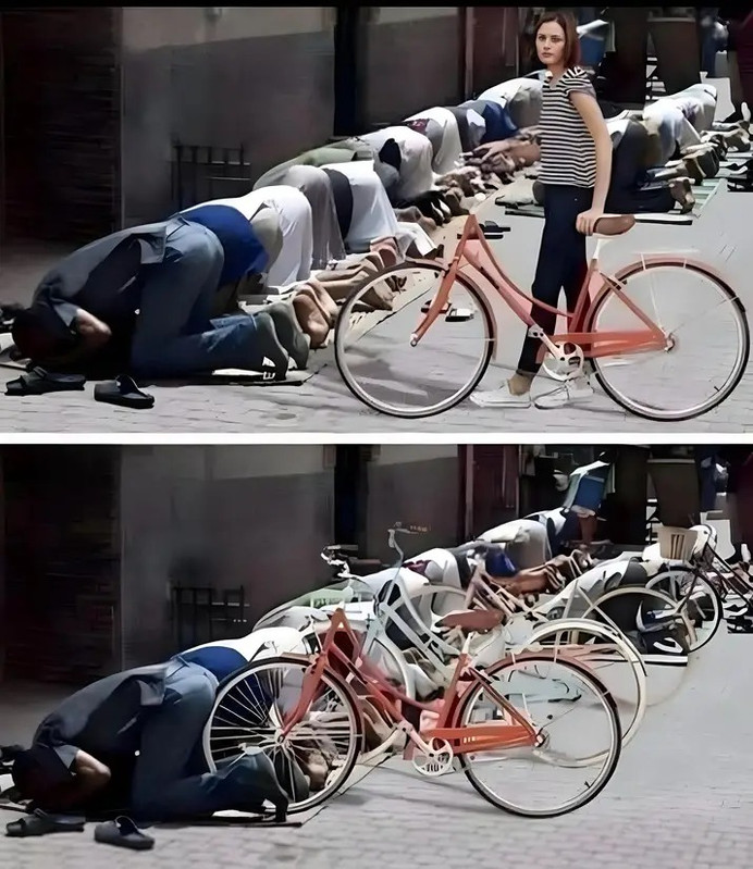 [Image: Bikes.jpg]