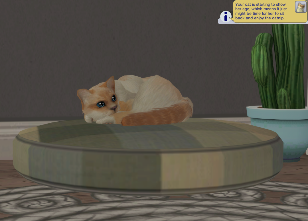 Sims2-EP9-RPC-2023-05-26-22-14-14-14