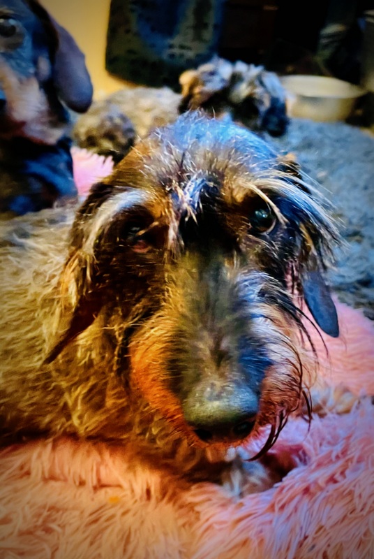 [Image: IMG-1036.jpg]