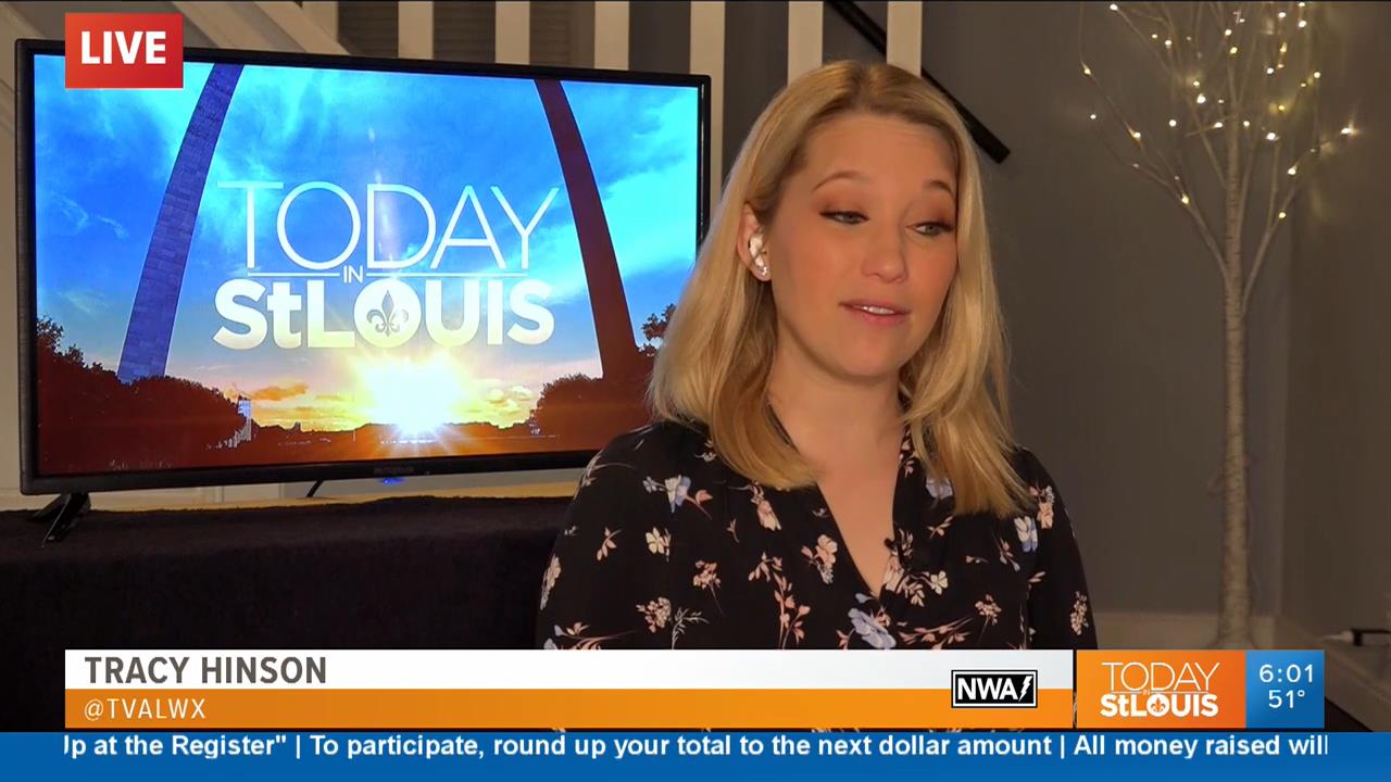 19 April - 12.00.00 - Today in St. Louis Weekend Edition. News.ts_snapshot_00.05.51_[2020.04.19_13.0