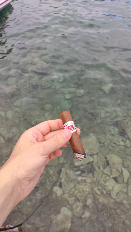 IMG-39f31a9b7c849aaff6134a9f5b0322b4-V