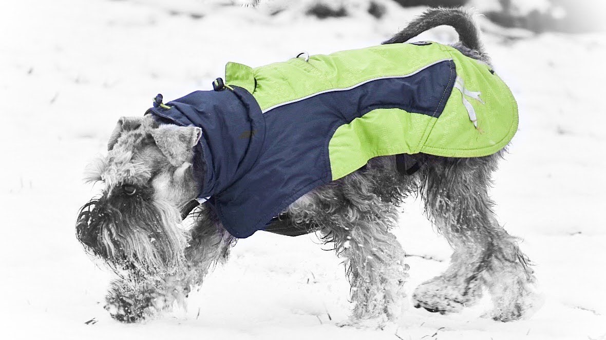 CE5C7714-3D6D-4CA6-BD90-A1FFE9A4D8FC