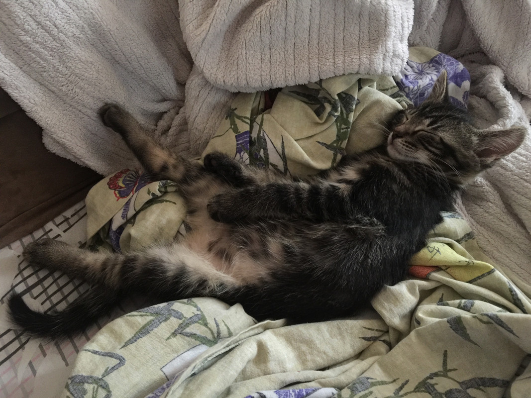 AB5C6DB9-852B-482B-857E-99DC952112ED