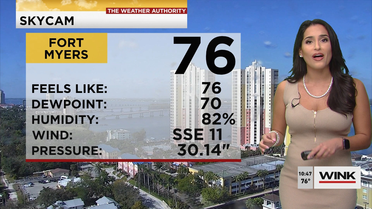 02.09 - 15.00.00 - WINK News at 10 00 a.m..ts_snapshot_00.48.58.841