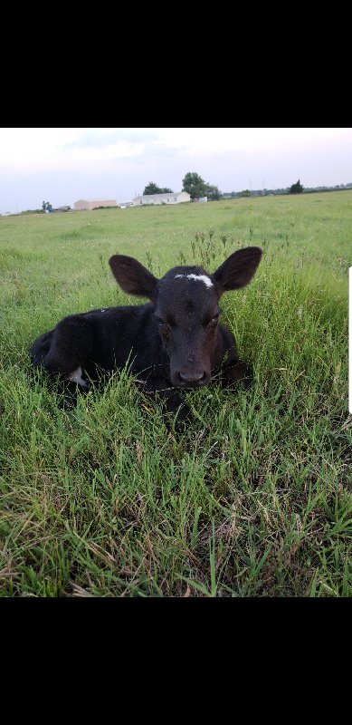 Screenshot_20200120-190413_Gallery