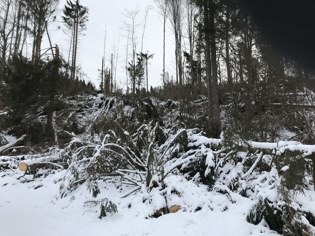 18EB1A52-6A19-4C1A-B000-C3AB9D1BAAB5