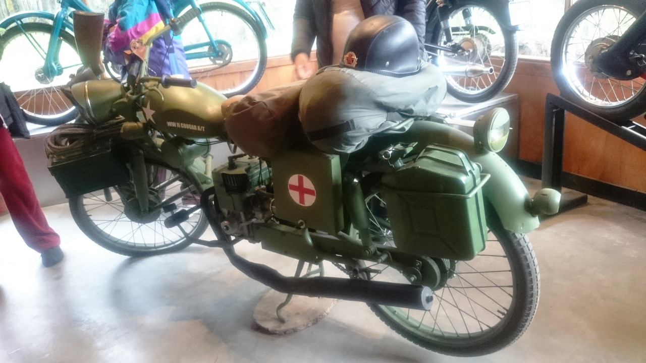 Аргентина (8)