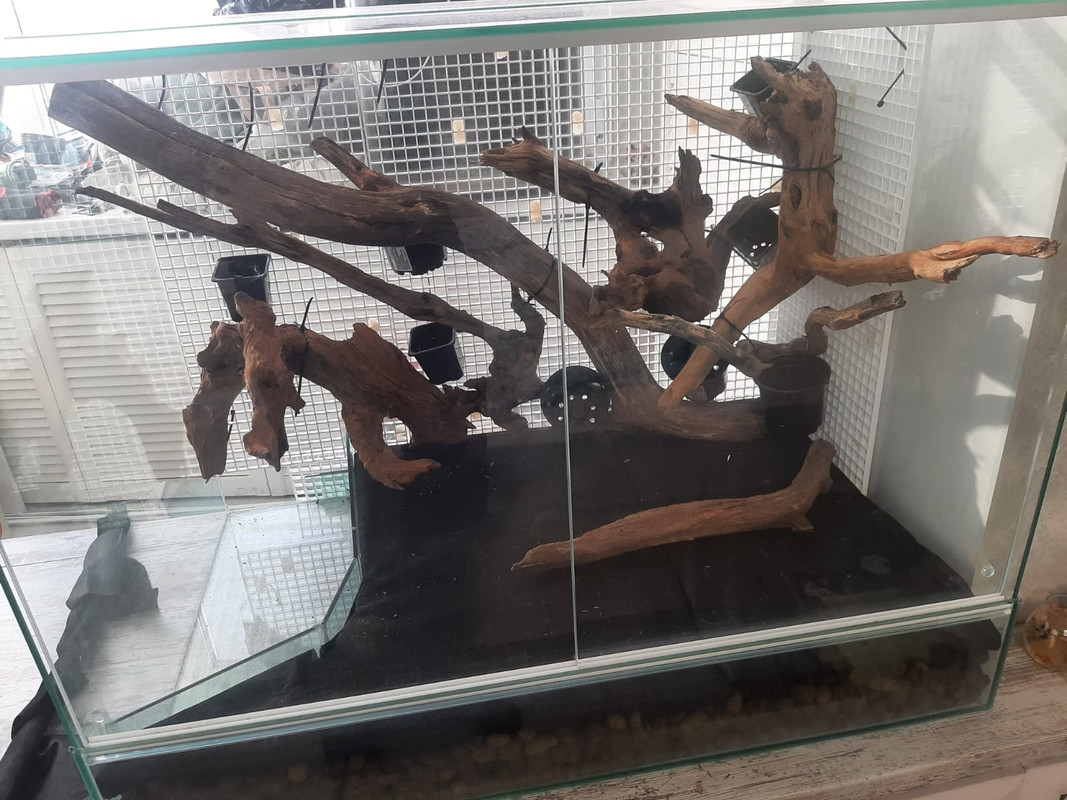 WhatsApp Image 2024-02-27 at 12.13.54 (1)