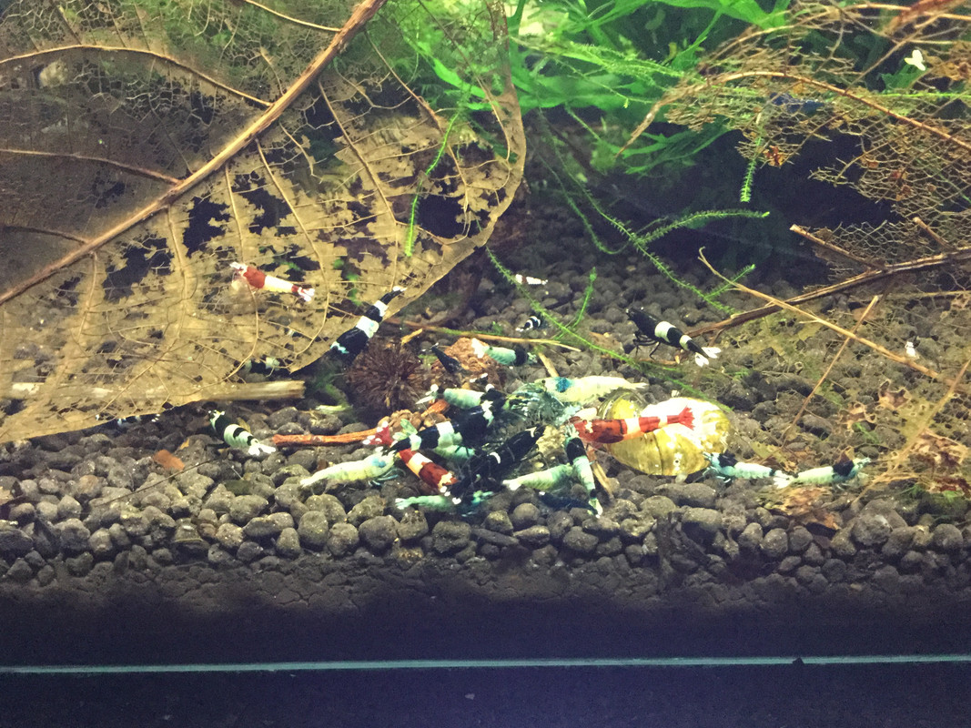 21B0081A-4A8E-403C-A0E5-1FABFA78F61E